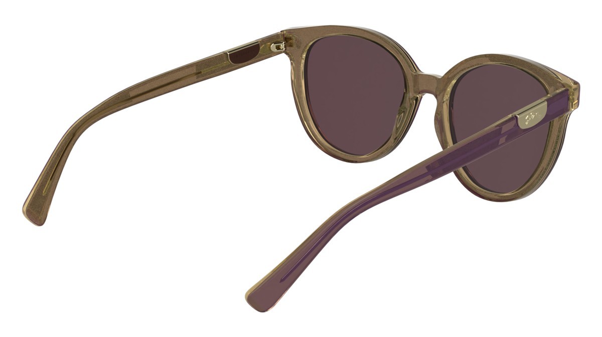 Occhiali da sole Longchamp LO773S N (506) colore glitter purple forma rotondo 
