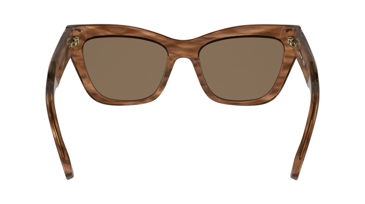 Occhiali da sole Longchamp LO777S (211) colore striped brown forma cat eye lenti solid brown