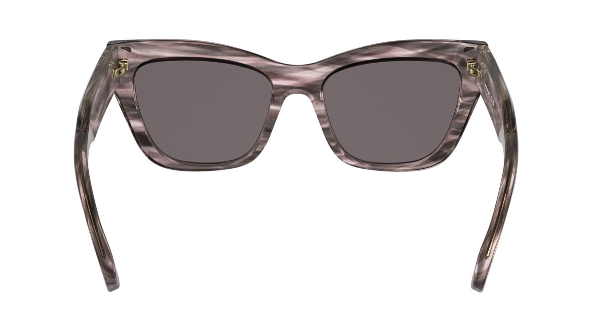 Occhiali da sole Longchamp LO777S (616) colore striped rose forma cat eye lenti solid smtruee