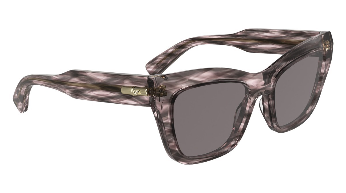 Occhiali da sole Longchamp LO777S (616) colore striped rose forma cat eye lenti solid smtruee