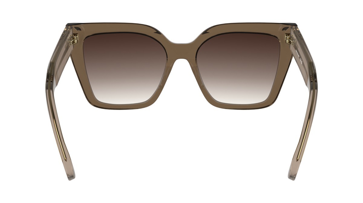 Occhiali da sole Longchamp LO778S N (272) colore transparent nude forma farfalla 