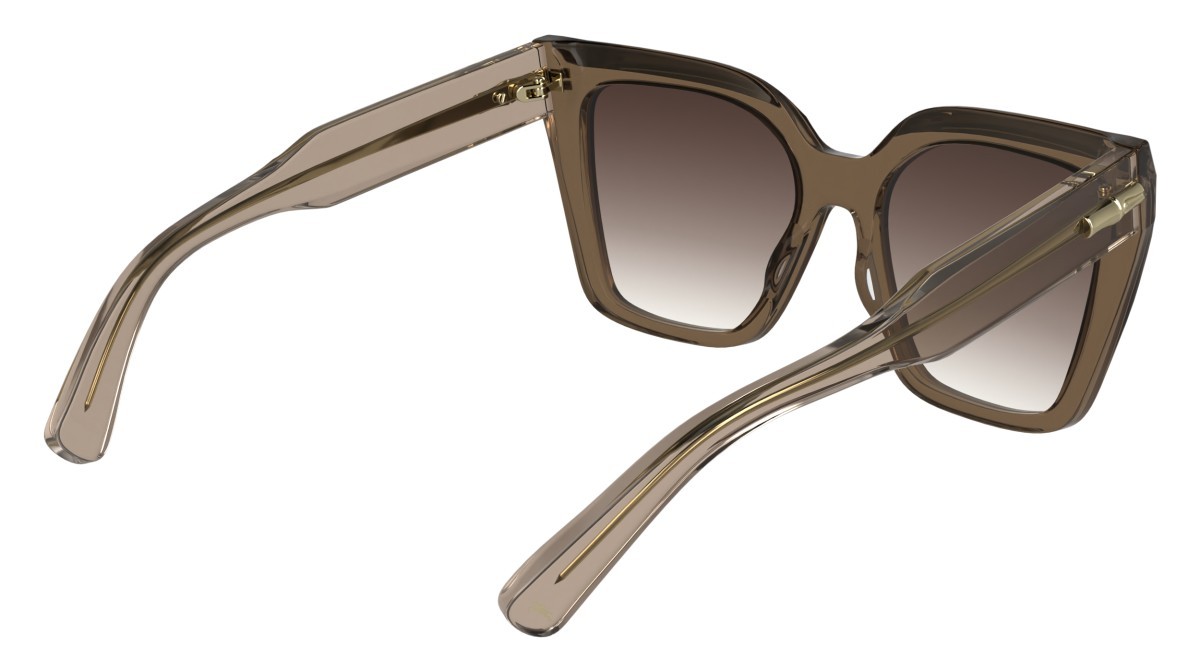 Occhiali da sole Longchamp LO778S N (272) colore transparent nude forma farfalla 