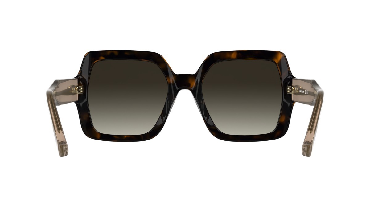 Sunglasses Longchamp LO790S (231) color brown havana shape square lenses gradient brown