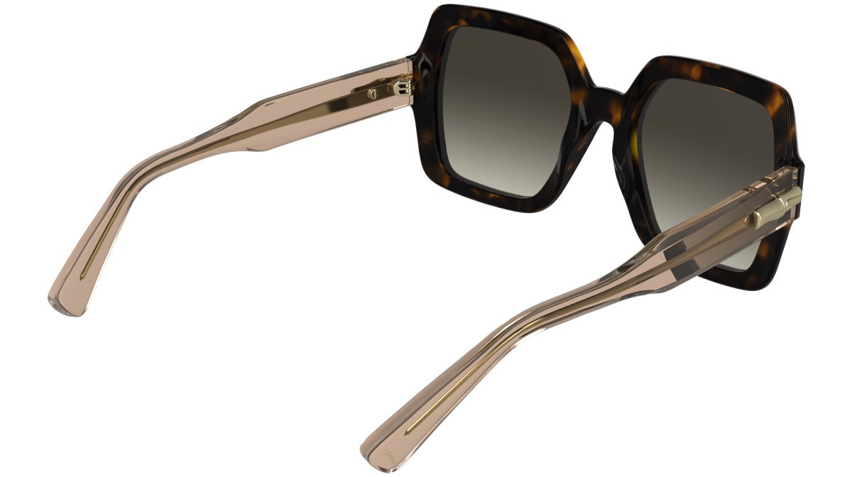 Sunglasses Longchamp LO790S (231) color brown havana shape square lenses gradient brown