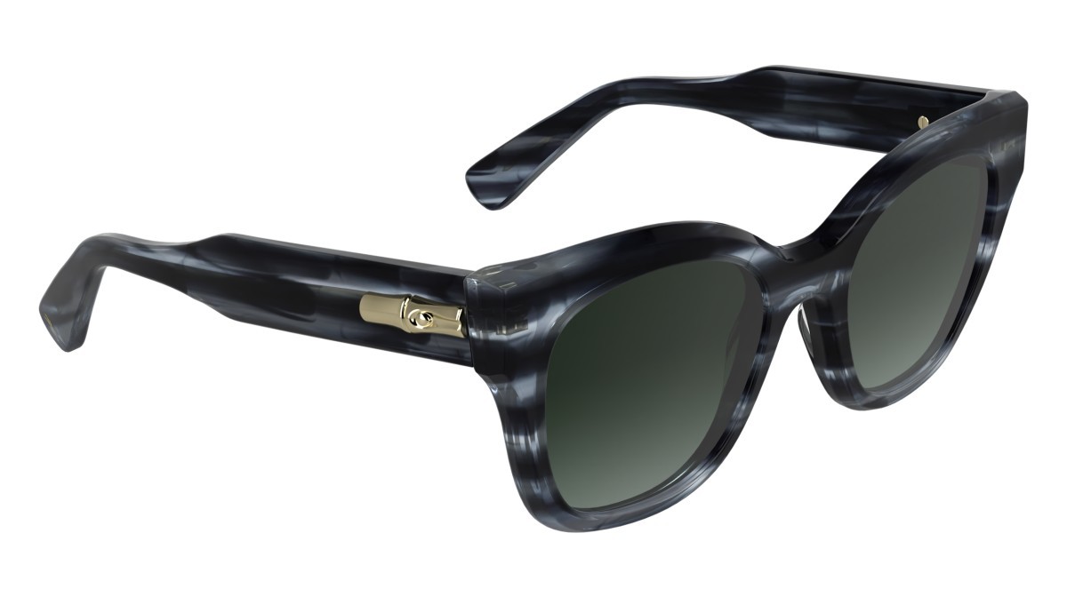 Occhiali da sole Longchamp LO791S (036) colore striped grey forma quadrato lenti grad green