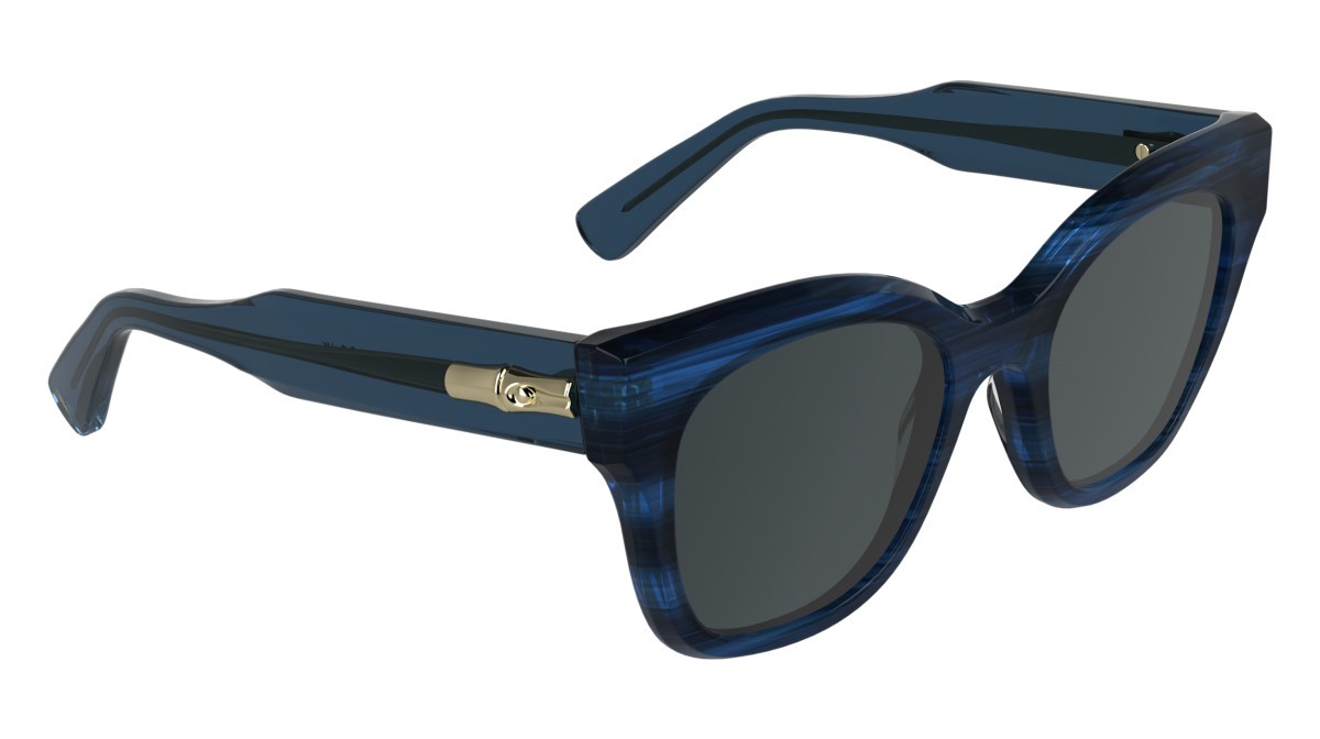 Occhiali da sole Longchamp LO791S (407) colore striped blue forma quadrato lenti solid grey