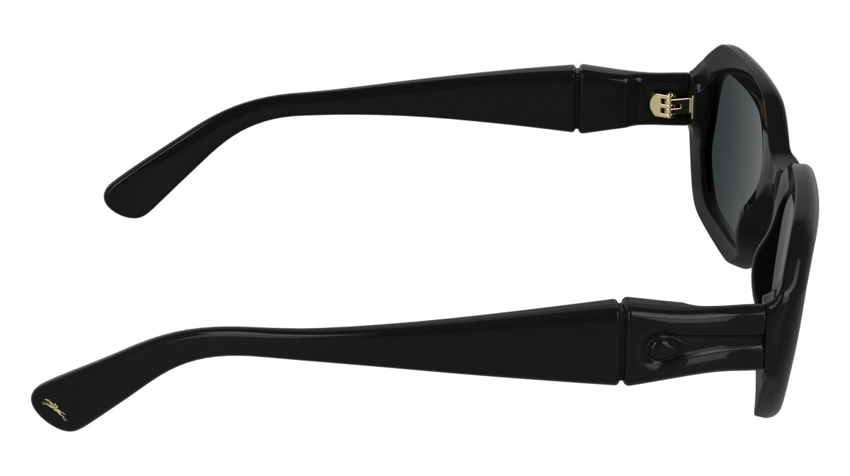 Sunglasses Longchamp LO794S (001) color black shape rectangle lenses solid smoke