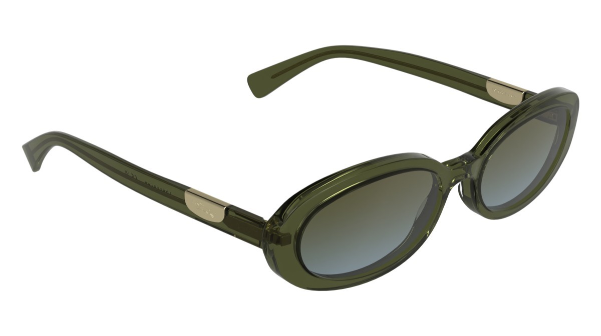 Sunglasses Longchamp LO795S (319) color transparent khaki shape oval lenses double gradient khaki grey