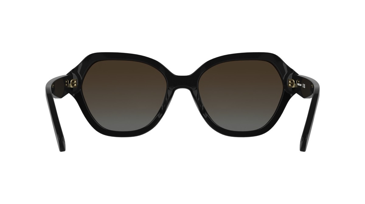 Occhiali da sole Longchamp LO801S (001) colore black forma rettangolare lenti gradient brown grey