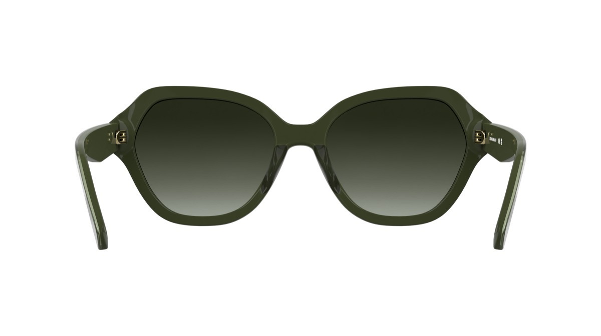 Occhiali da sole Longchamp LO801S (319) colore khaki forma rettangolare lenti gradient khaki