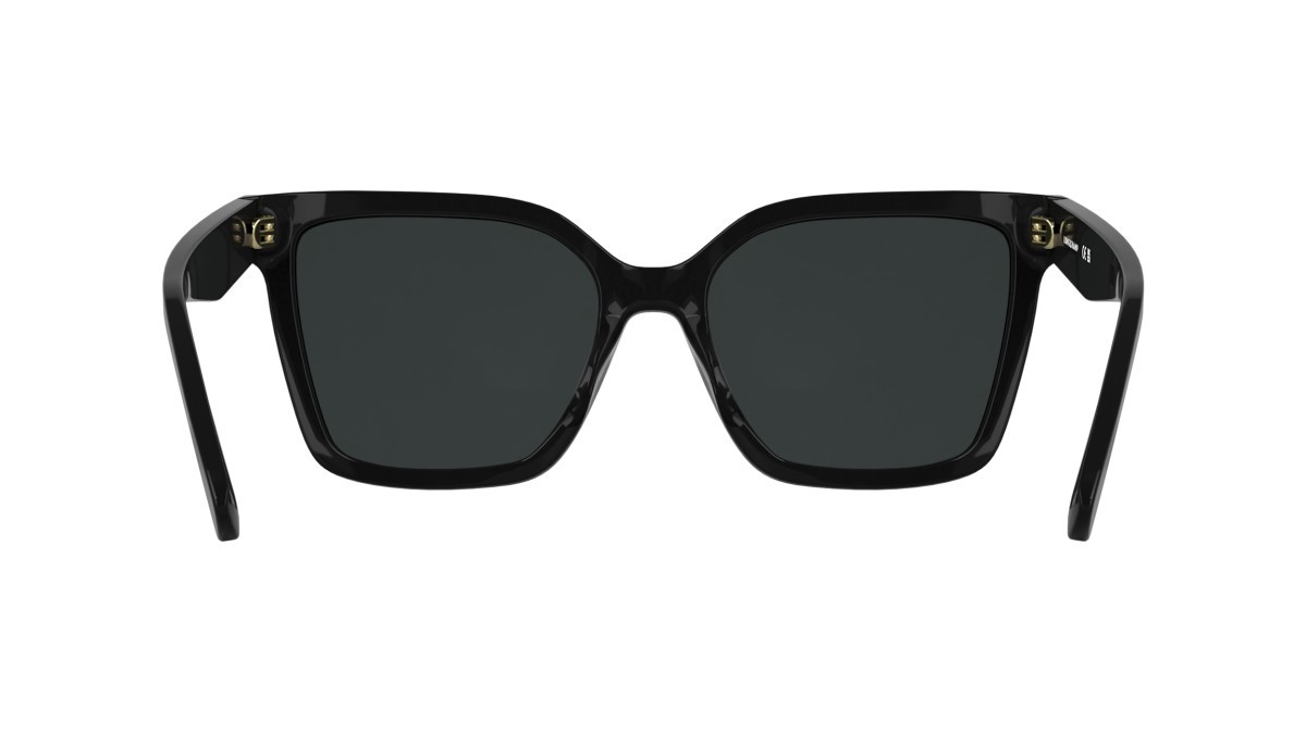 Occhiali da sole Longchamp LO802S (001) colore black forma rettangolare lenti solid smoke