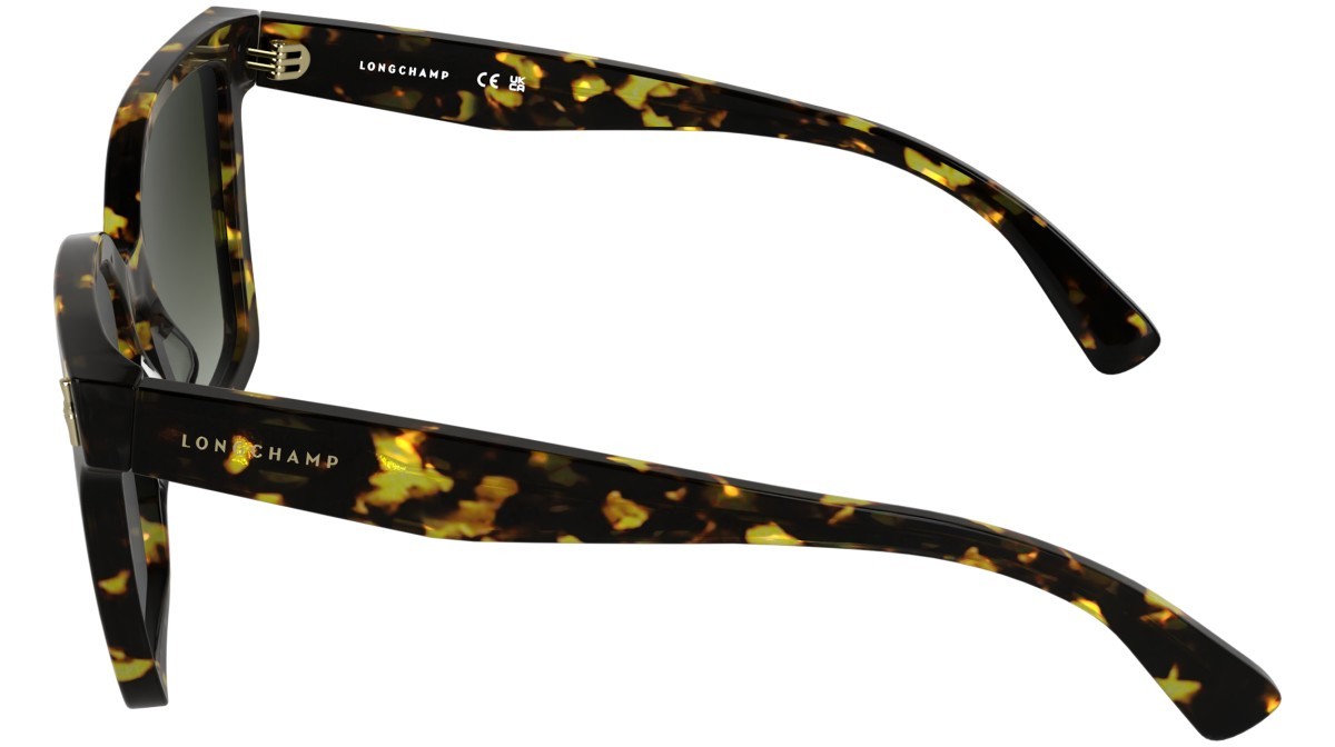 Sunglasses Longchamp LO802S (242) color dark havana shape rectangle lenses gradient khaki