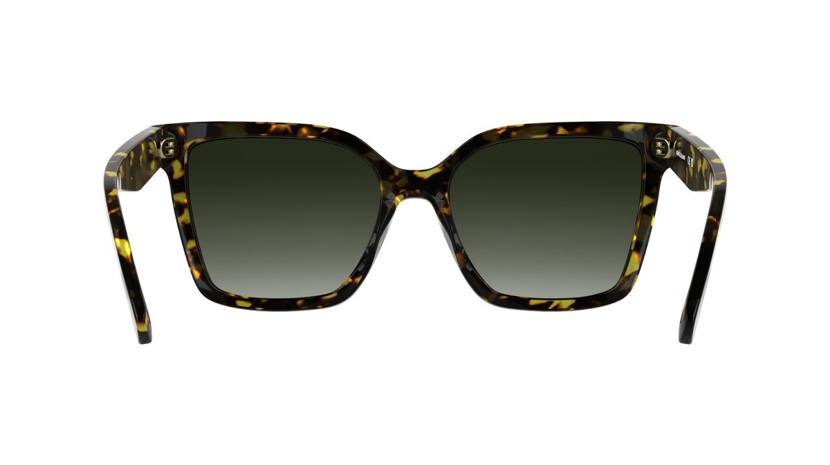 Sunglasses Longchamp LO802S (242) color dark havana shape rectangle lenses gradient khaki