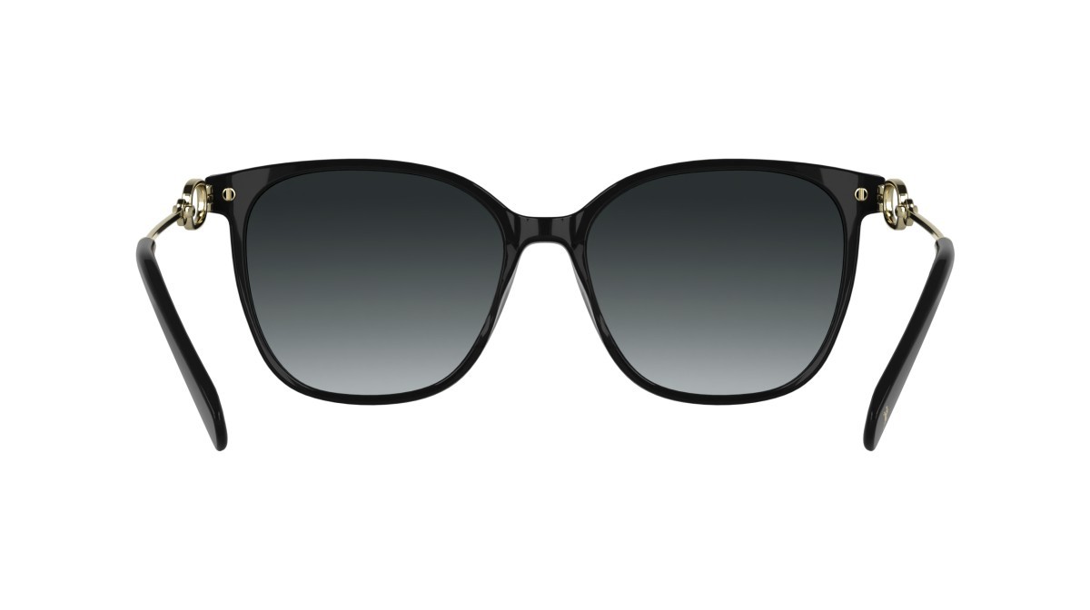 Sunglasses Longchamp LO805S (001) color black shape rectangle lenses gradient grey