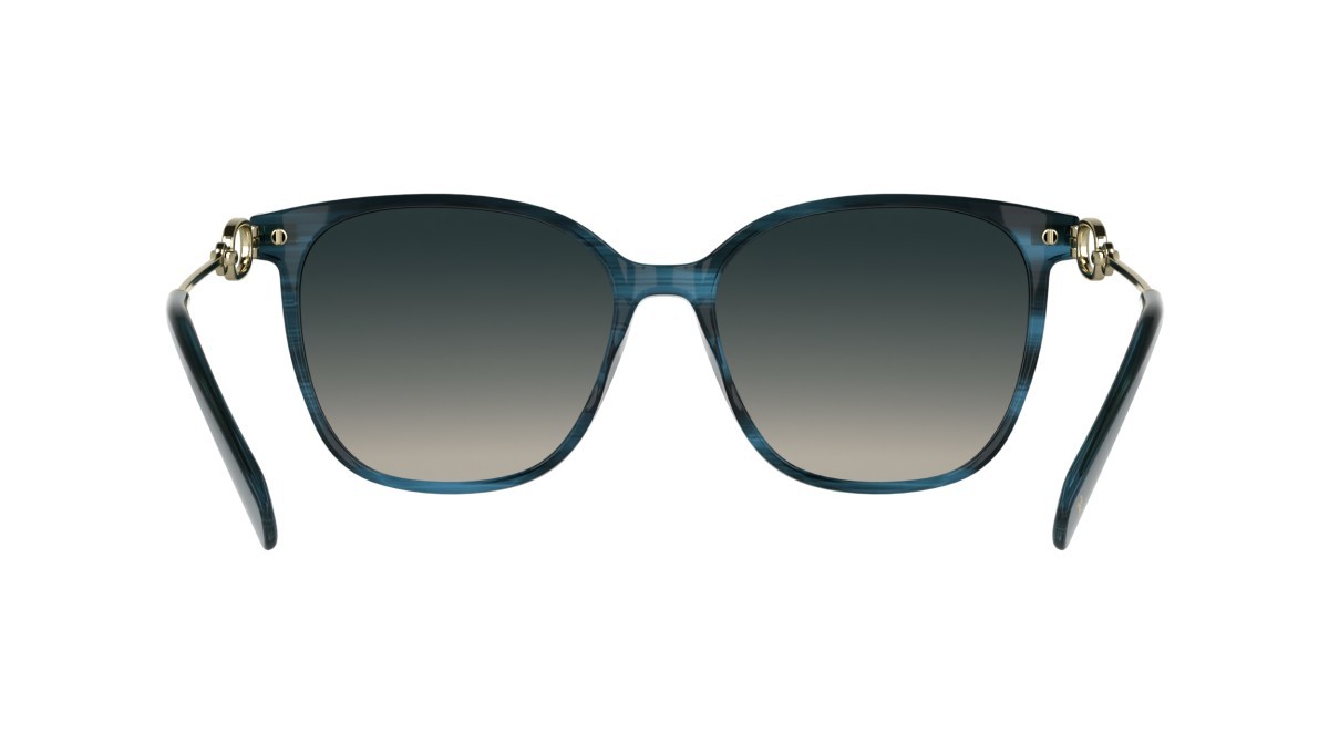 Occhiali da sole Longchamp LO805S (407) colore striped blue forma rettangolare lenti gradient navy/nude