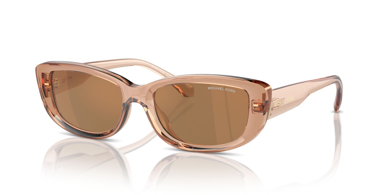 Occhiali da sole Michael Kors Asheville MK 2210U (3999/O) colore marrone trasparente forma rettangolare lenti marrone nero