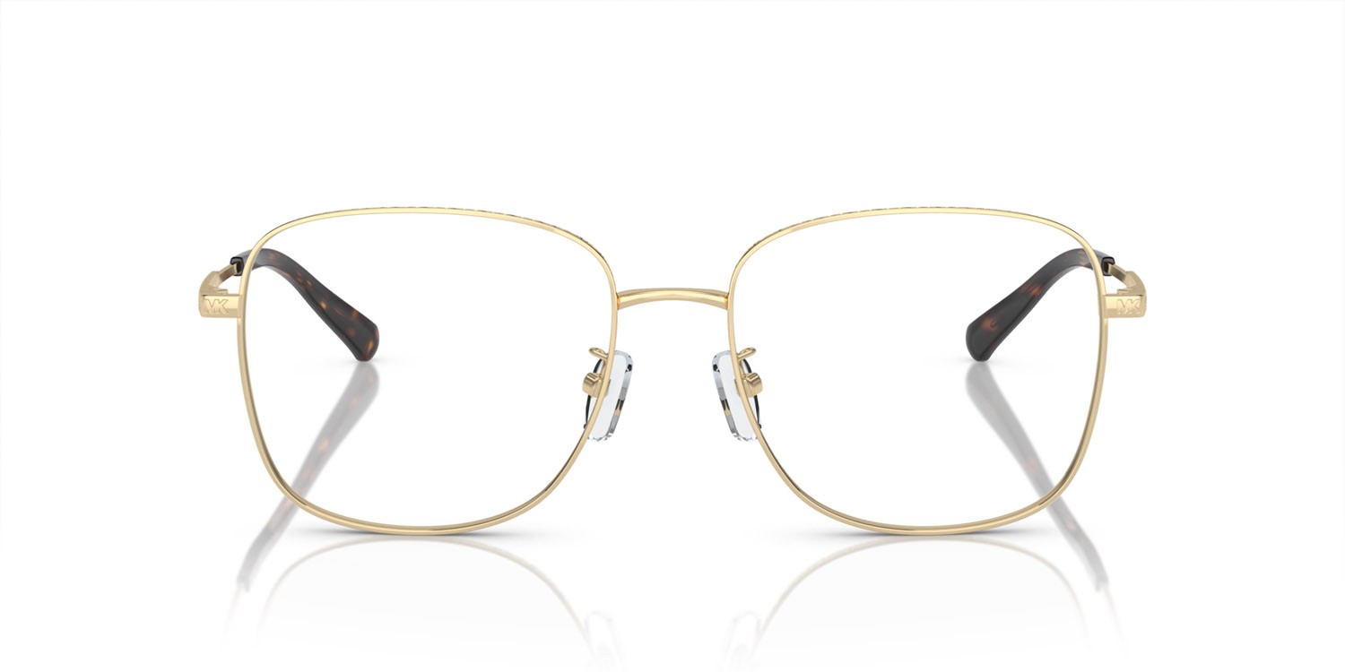 Brillen Michael Kors Borneo MK 3074D (1014) farbe oro chiaro form quadratisch gläser lente demo