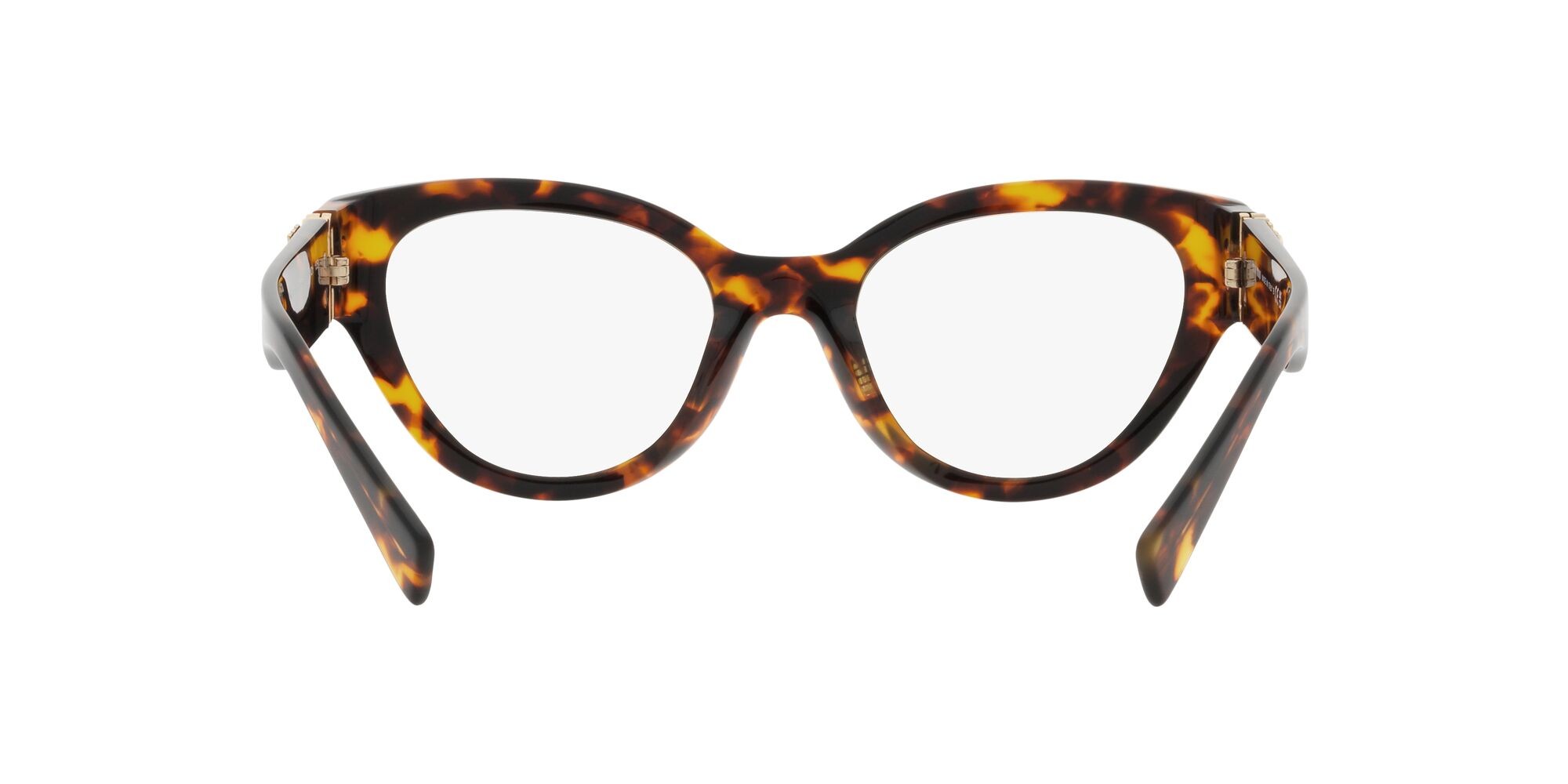 Brillen Miu Miu MU 01VV (VAU1O1) farbe havana miele form pantos gläser lente demo
