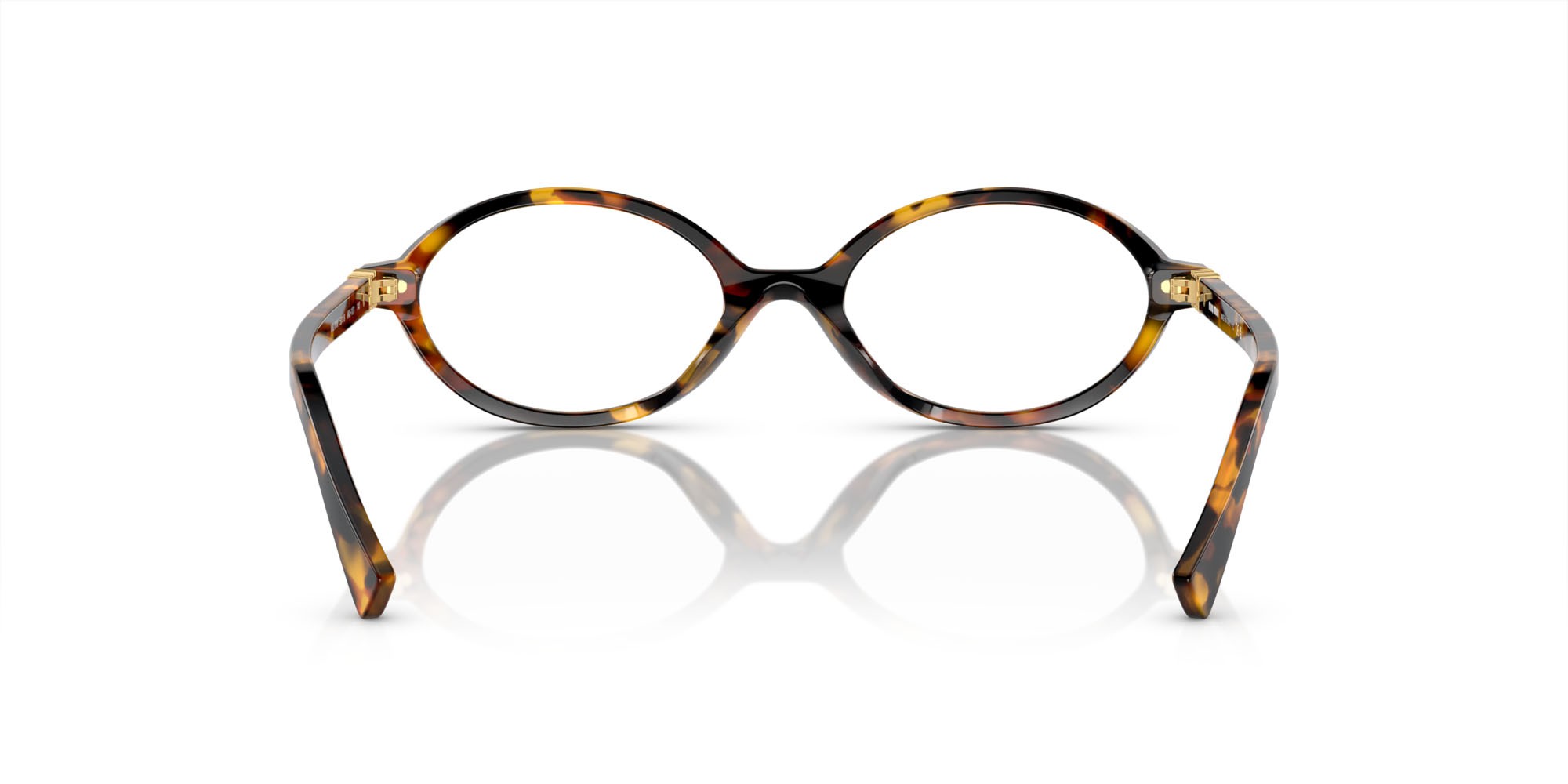 Eyeglasses Miu Miu MU 01XV (VAU1O1) color havana miele shape oval lenses lente demo