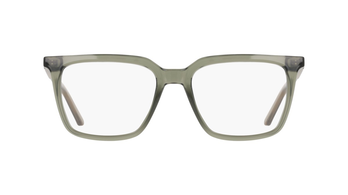Brillen Nike NIKE 7064 (334) farbe silver sage form quadratisch 