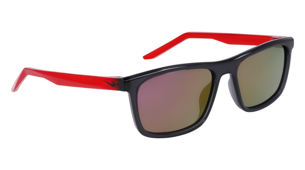 Sonnenbrillen Nike NIKE EMBAR P FV2409 (060) form quadratisch 