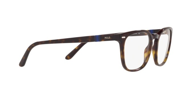 Brillen Polo PH 2209 (5003) farbe havana form pantos gläser demo lens