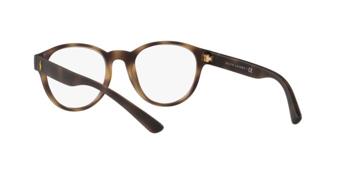 Brillen Polo PH 2238 (5003) farbe matte havana form pantos gläser demo lens
