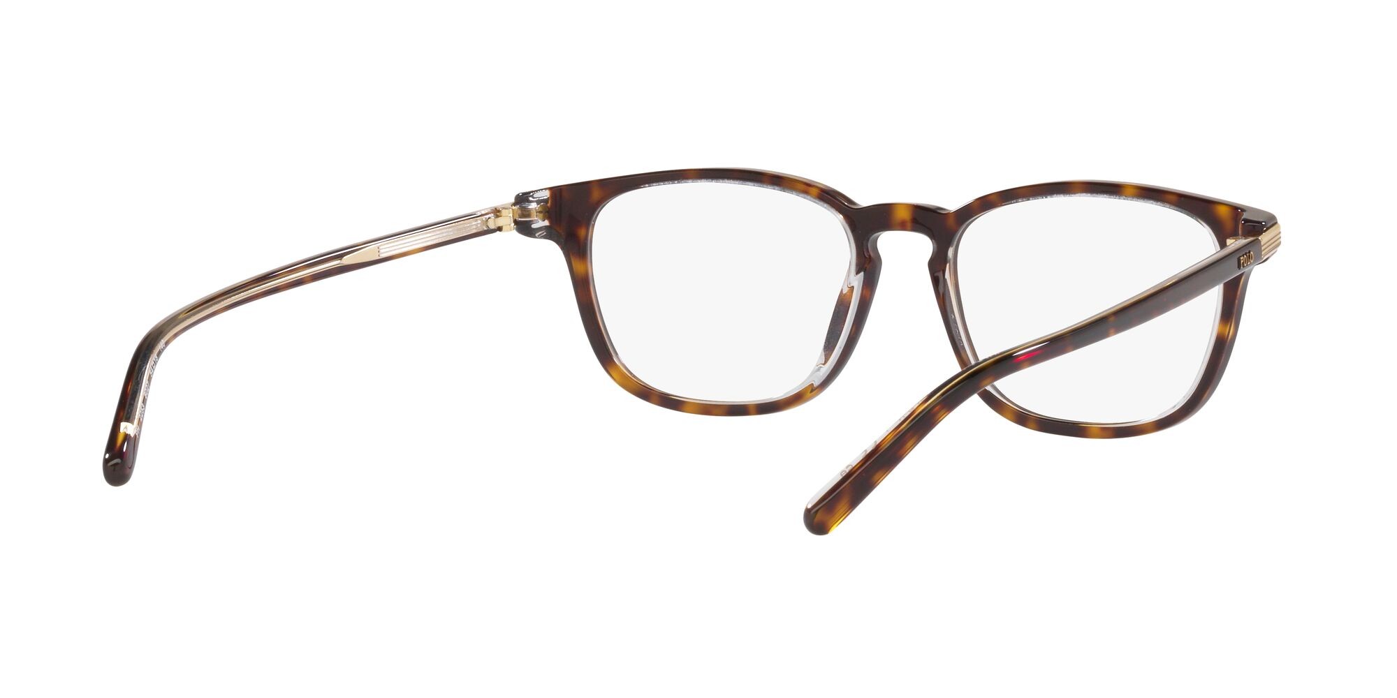 Brillen Polo PH 2253 (6027) farbe shiny havana on crystal form quadratisch gläser lente demo
