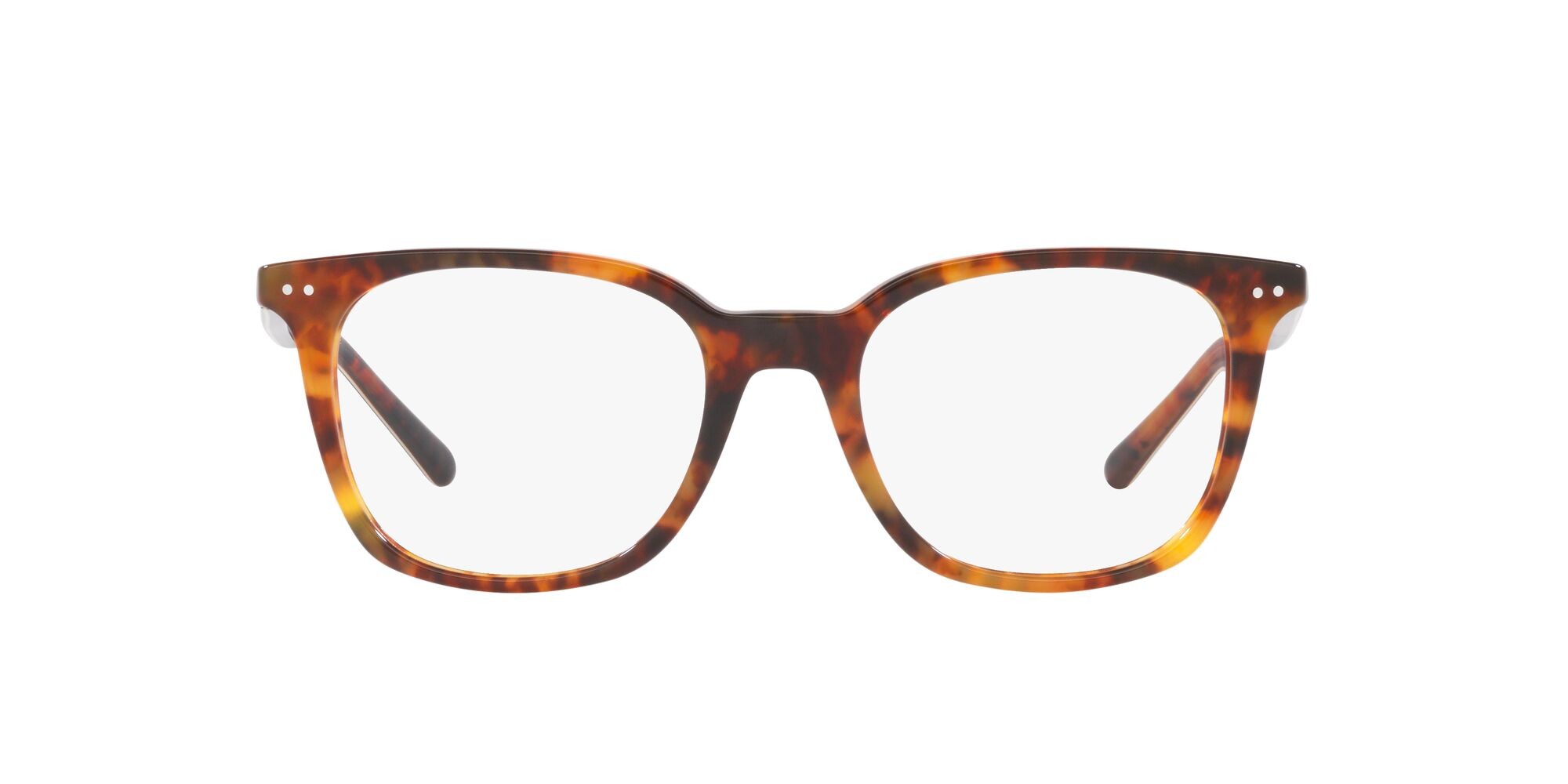 Eyeglasses Polo PH 2256 (5017) color havana jerry brillante shape square lenses lente demo