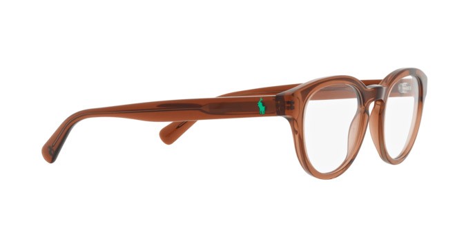 Eyeglasses Polo PH 2262 (6086) color marrone trasparente lucido shape pantos lenses lente demo