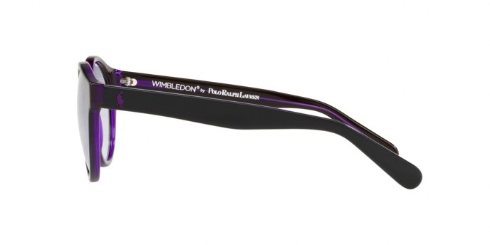 Occhiali da sole Polo PH 4101 (56991A) colore black top trasparent purple forma pantos lenti lillac