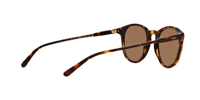Occhiali da sole Polo PH 4110 (513473) colore shiny antique havana forma pantos lenti brown