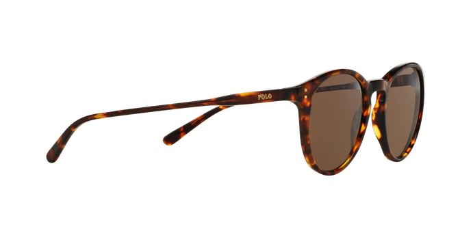 Occhiali da sole Polo PH 4110 (513473) colore shiny antique havana forma pantos lenti brown