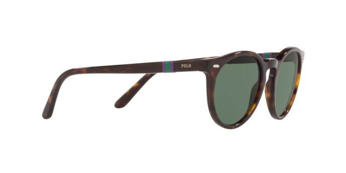 Sonnenbrillen Polo PH 4151 (567371) farbe shiny dark havana form pantos gläser green