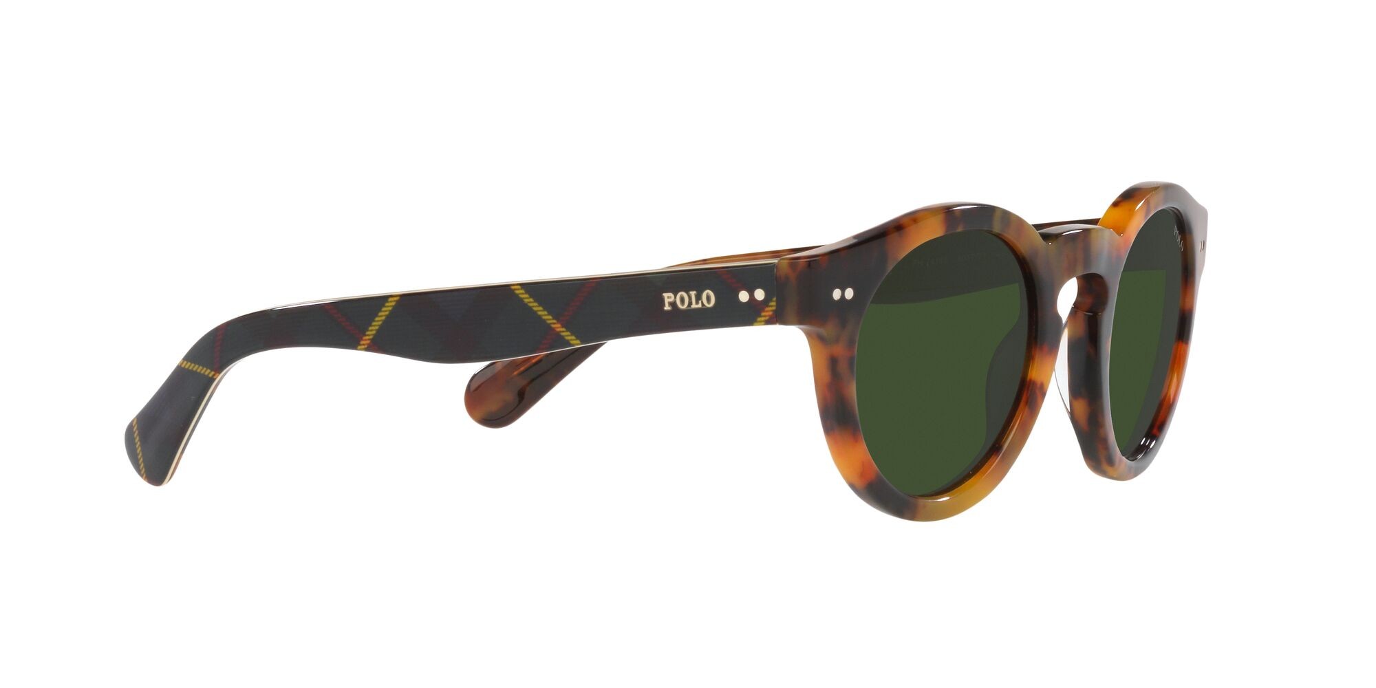 Sonnenbrillen Polo PH 4165 (501771) farbe havana jerry brillante form pantos gläser verde bottiglia
