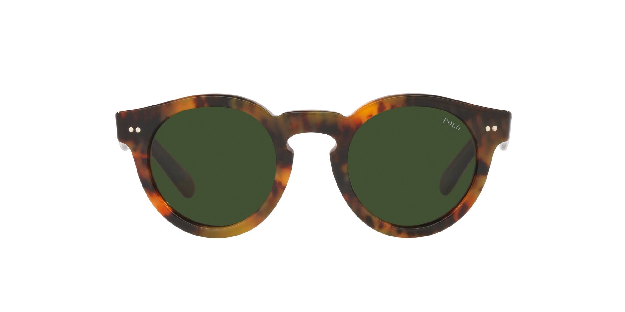 Sonnenbrillen Polo PH 4165 (501771) farbe havana jerry brillante form pantos gläser verde bottiglia