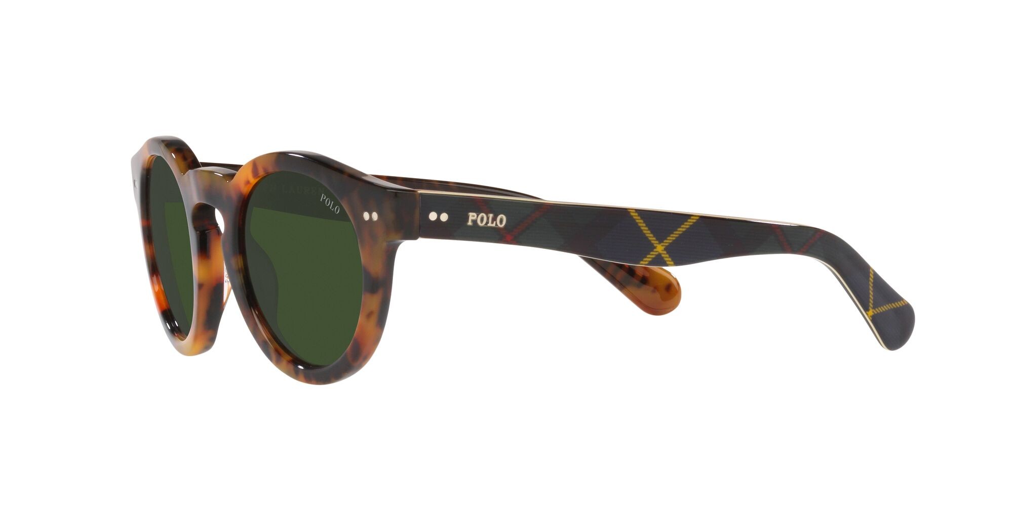 Sonnenbrillen Polo PH 4165 (501771) farbe havana jerry brillante form pantos gläser verde bottiglia
