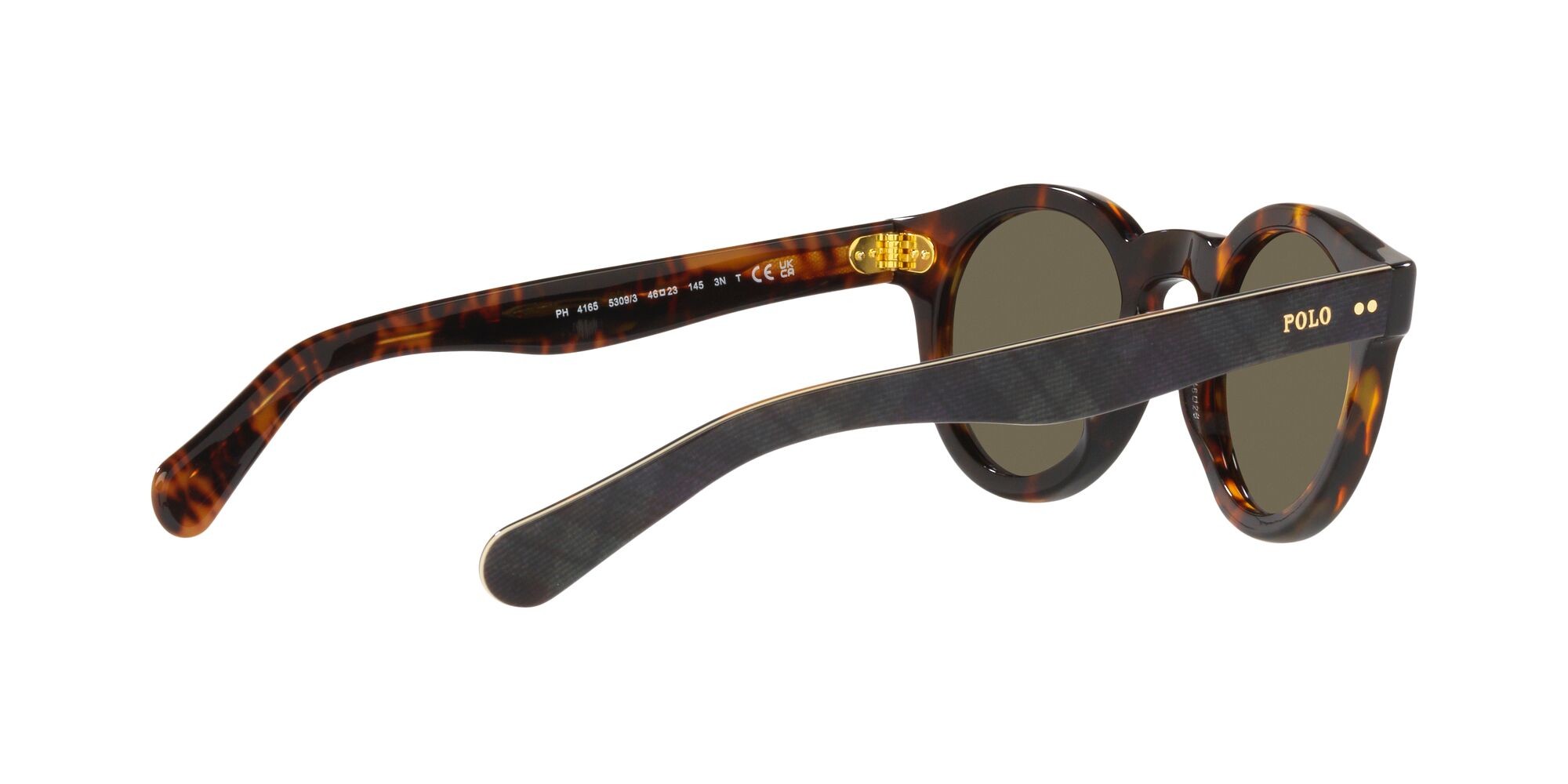 Sonnenbrillen Polo PH 4165 (5309/3) farbe tartarugato anticato brillante form pantos gläser marrone