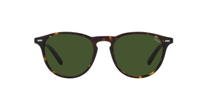 Sonnenbrillen Polo PH 4181 (500371) farbe havana scuro lucido form pantos gläser verde bottiglia