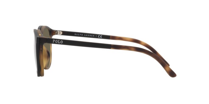 Sunglasses Polo PH 4183U (5057/3) color matte havana shape pantos lenses clear