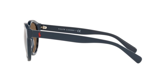 Sonnenbrillen Polo PH 4184 (562073) farbe shiny navy blue form pantos gläser brown