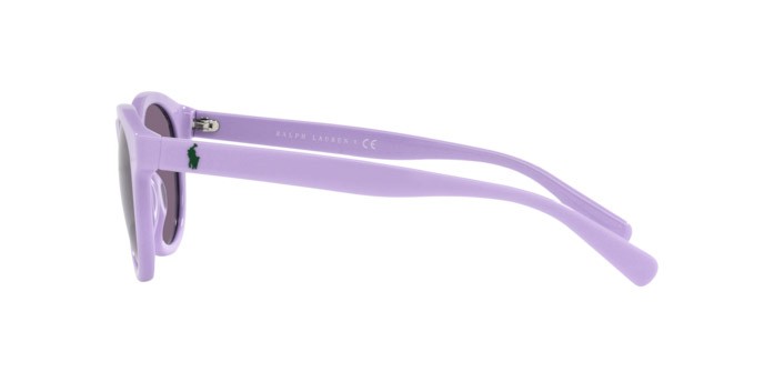Sonnenbrillen Polo PH 4184 (60181A) farbe shiny sky lavander form pantos gläser violet