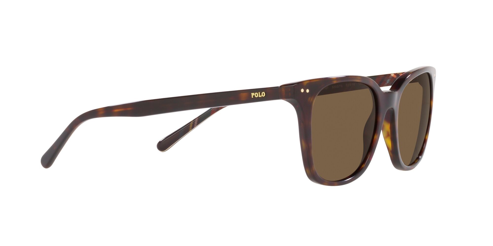Occhiali da sole Polo PH 4187 (500373) colore havana scuro lucido forma quadrato lenti verde bottiglia