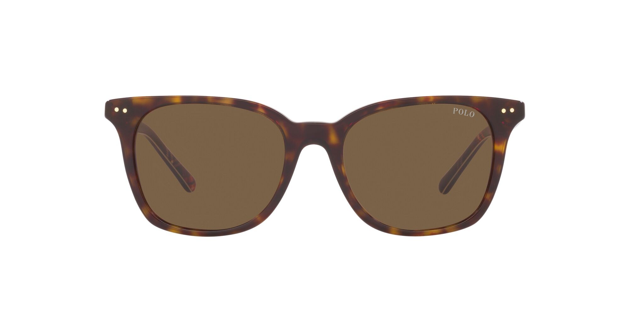 Occhiali da sole Polo PH 4187 (500373) colore havana scuro lucido forma quadrato lenti verde bottiglia