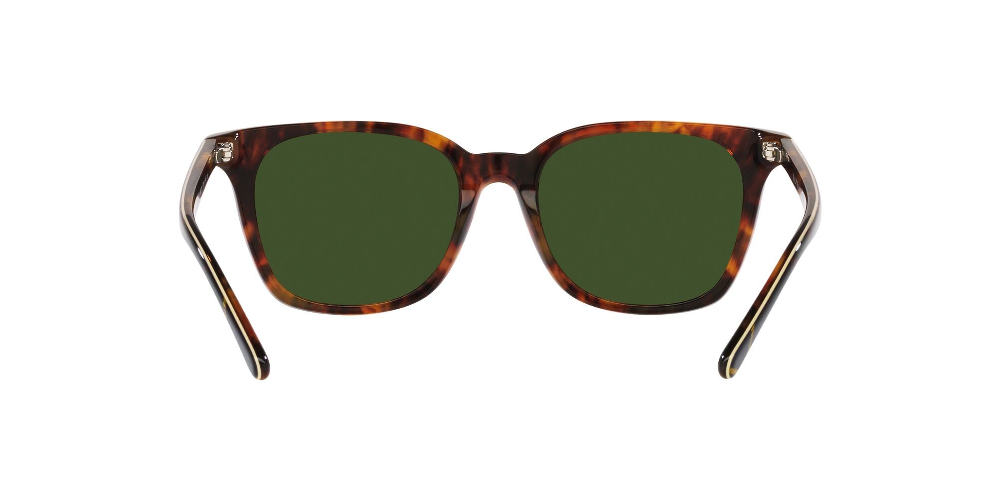 Occhiali da sole Polo PH 4187 (501771) colore havana jerry brillante forma quadrato lenti marrone