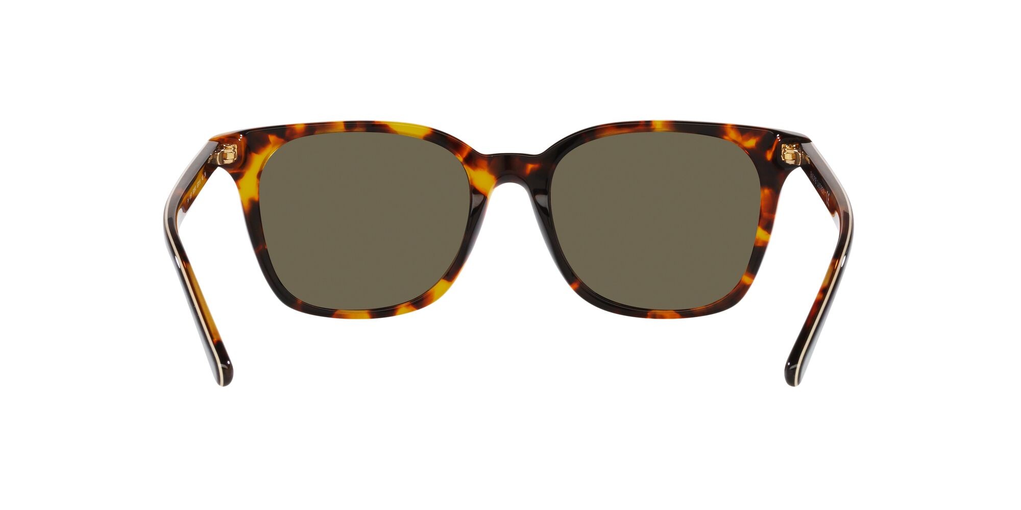 Occhiali da sole Polo PH 4187 (5309/3) colore tartarugato anticato brillante forma quadrato lenti marrone