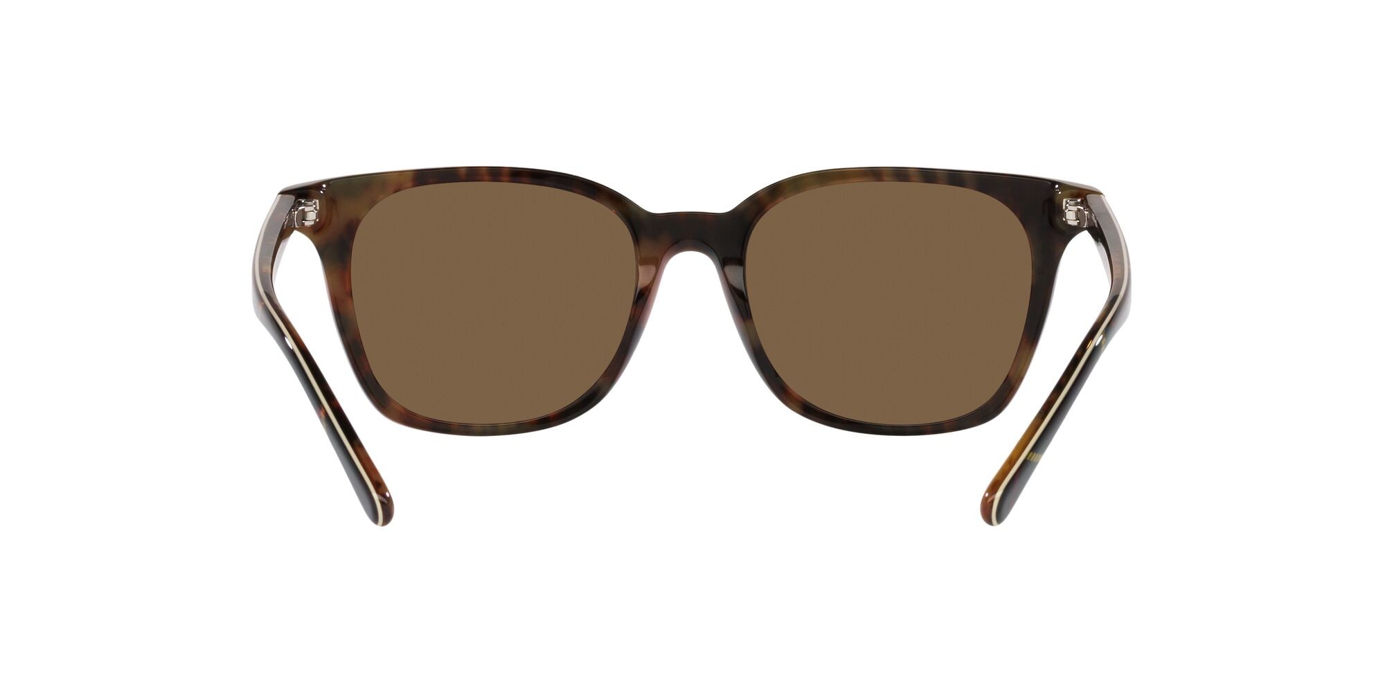 Sonnenbrillen Polo PH 4187 (562573) farbe dress gordon brillante form quadratisch gläser marrone