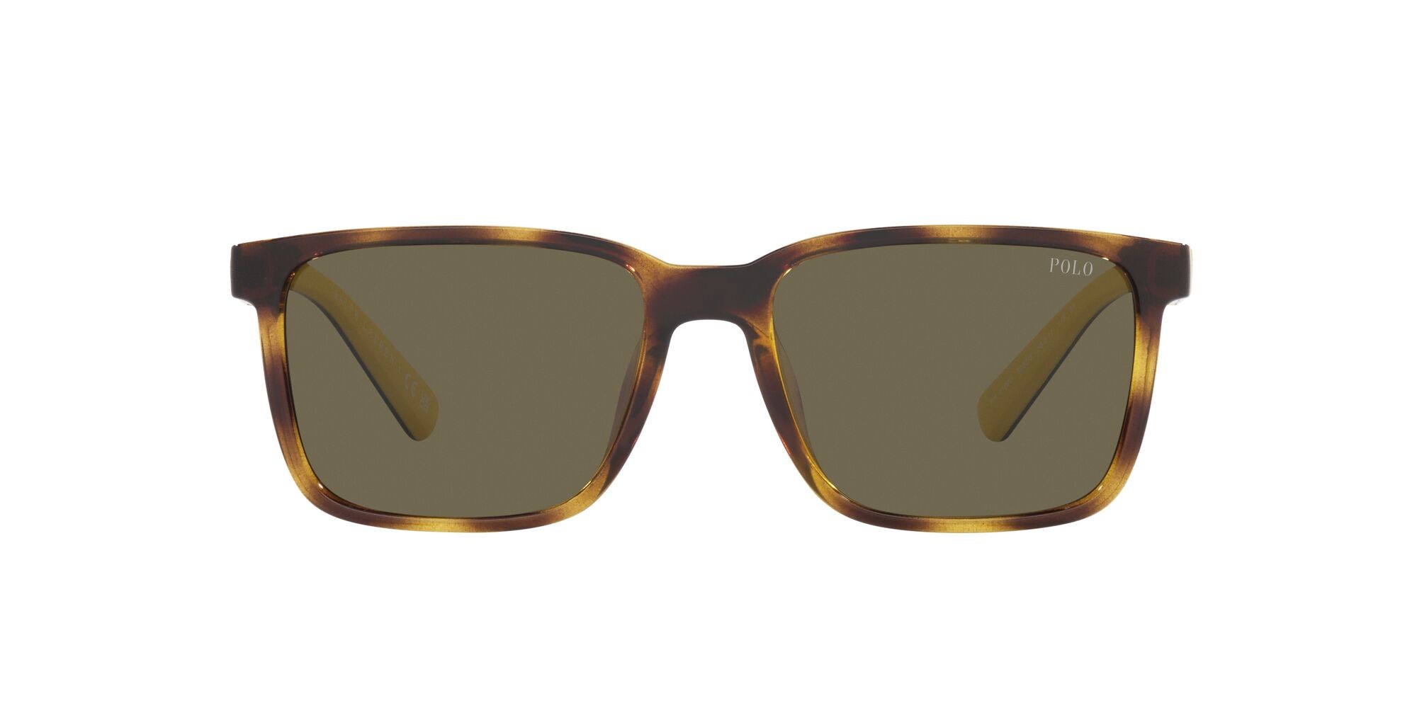 Sonnenbrillen Polo PH 4189U (5003/3) farbe havana lucido form rechteckig gläser marrone