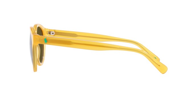 Sonnenbrillen Polo PH 4192 (500573) farbe miele opalino brillante form rund gläser dark brown olive