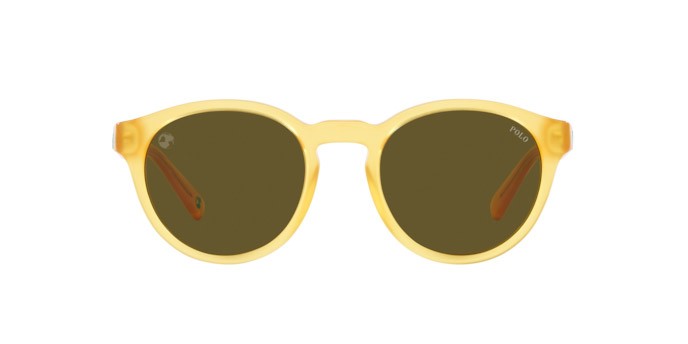 Sonnenbrillen Polo PH 4192 (500573) farbe miele opalino brillante form rund gläser dark brown olive